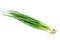 Green Onion