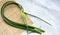 Green onion arrows lie on a gray background. An onion plant that produces Allium seeds in the second year of growth