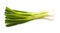 Green onion isolated
