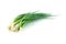 Green onion isolated on the white