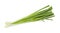 Green onion leaf vegetable fresh