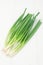 Green onions on white background