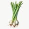 Green Onions white background realism