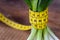 Green onions with yellow measurement tape