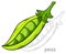 Green open pea pod