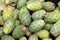 Green opuntia fruits lay on food market