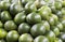 Green orange background. Close-up lime pile on table. Green ripe lime with glossy surface backdrop.