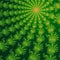 Green and orange fractal ornaments in dark green background. Computer generated graphics.