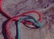 Green and orange nylon rope on natural rock background