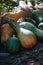 green and orange pumpkins of different shapes, bottle lie in a heap in the garden. In a dark tone. Thanksgiving concept