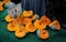 Green / orange pumpkins sliced to quarters on display at food market in London