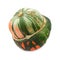 Green and orange turban squash