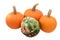 Green and orange Turks turban squash with three pumpkins