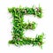 Green organic grass with tiny flowers made letter E on white clean background. Environment concept. Generative AI