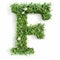 Green organic grass with tiny flowers made letter F on white clean background. Environment concept. Generative AI