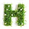 Green organic grass with tiny flowers made letter H on white clean background. Environment concept. Generative AI