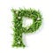 Green organic grass with tiny flowers made letter P on white clean background. Environment concept. Generative AI