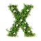 Green organic grass with tiny flowers made letter X on white clean background. Environment concept. Generative AI