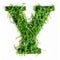 Green organic grass with tiny flowers made letter Y on white clean background. Environment concept. Generative AI