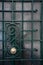 Green ornate metal gratings of matte glass door with round brass doorknob. Architectural details closeup. Elegant lattice