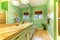 Green outdated bathroom interior.