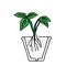 Green outline hand drawing vector illustration of a small strawberry plant with roots transplanting in a pot isolated on a white