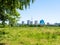 Green overgrown meadow and residential district