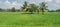 A green Paddy field in Gampaha Sri Lanka with some coconut trees in the middle and cloudy sky behind