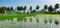 Green paddy fields against the backdrop of coconut trees in Tadepalligudem, Andhrapradesh, India