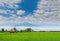 green paddy rice field with the straw, animal feed, the beautiful sky cloud, and Thailand fuji`s mountain