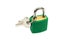 Green padlock, locked, with two keys on white background