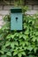 Green painted birdhouse and vines