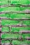 Green Painted Old Brick Wall Background