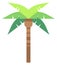 Green palm flat icon. Tropical beach tree