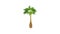 Green palm icon animation