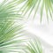 Green palm leaves pattern overlay on soft blur white fabric