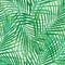 Green palm leaves seamless pattern.