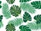 Green palm tree and monstera leaf vector tropical theme seamless pattern