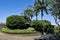 Green Palm trees, hedge, shrubs, and Pathway