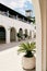 Green palms grow in tubs in the courtyard of a long white building with arches