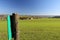 Green panoramic field in Belgium