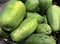Green papayas of different sizes at the fresh produce section of a grocery store