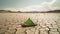 green paper boat lands on parched earth, showing the devastating, climate change.