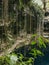 Green paradise and grotto in cenote Xâ€™canche Yucatan Peninsula