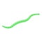 Green parasite worm icon, isometric style