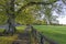 Green park in Adare, County Limerick, Ireland