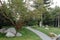 A green park with beautiful sculptures of sprawling trees and figured stones lying along the path