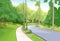 Green Park Forest Road Modern City Vector