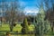 Green park with trees and snowy mountains view