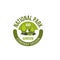 Green park trees vector icon for landscaping company